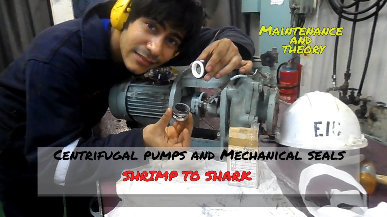 Shrimp to Shark: Centrifugal Pumps and Mechanical Seals, Maintenance and Theory