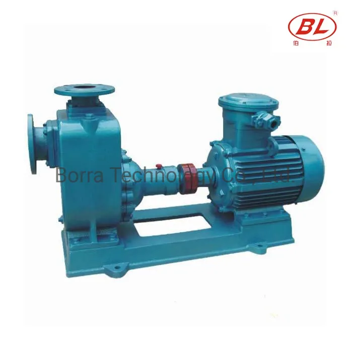 BORRAPUMP electric self-priming pump shown while comparing drive and configuration records