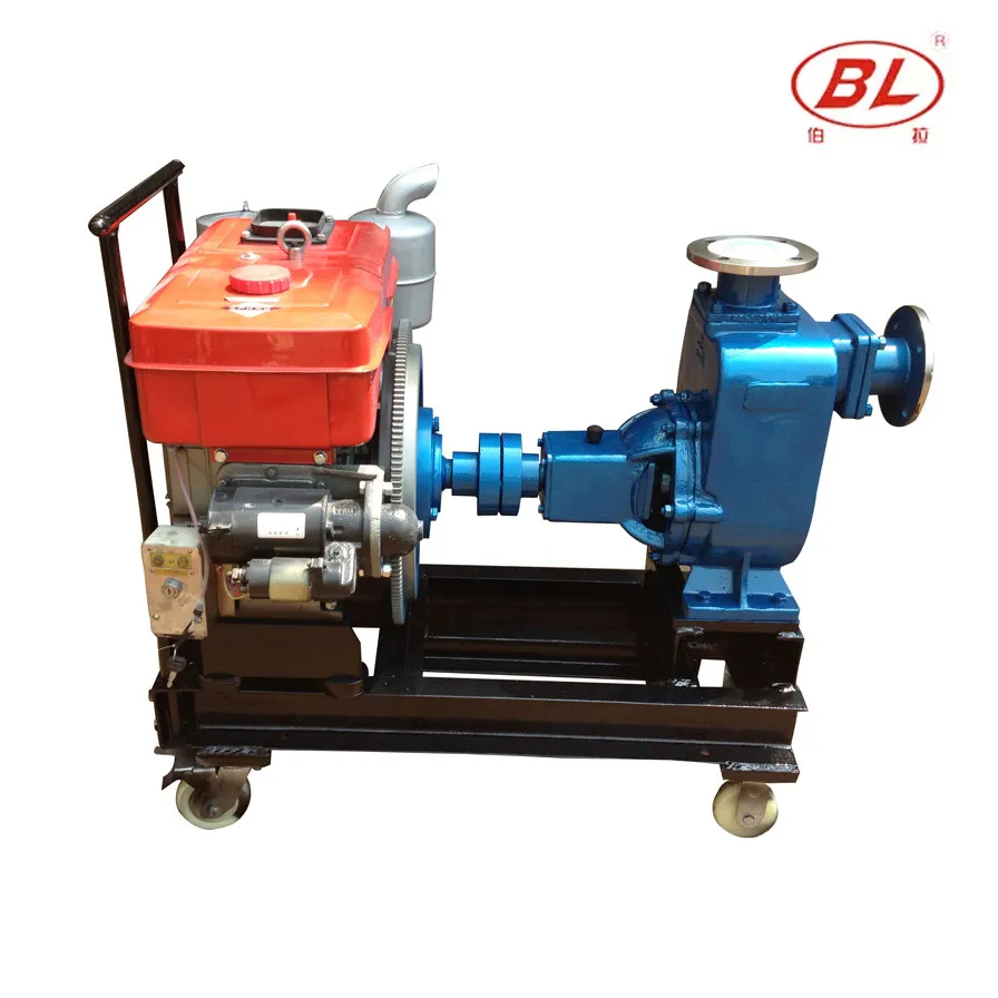 BORRAPUMP diesel self-priming pump shown as a documented inquiry route for a defined project request