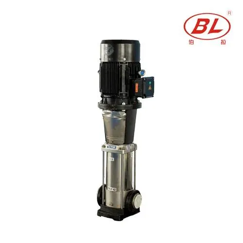BORRAPUMP vertical multistage pump shown as a product-family enquiry route