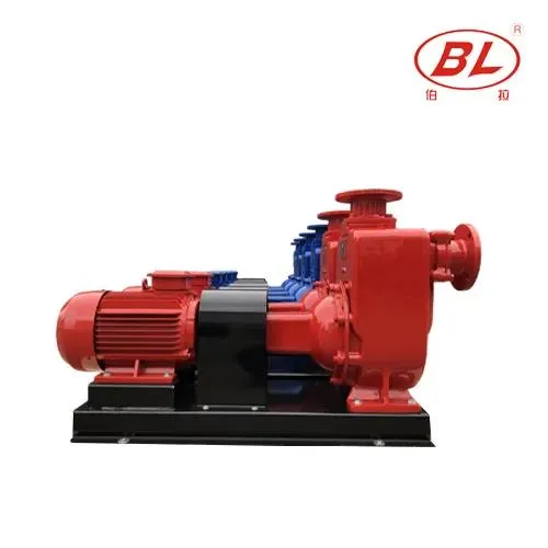 BORRAPUMP self-priming sewage pump shown only as a product-family visual