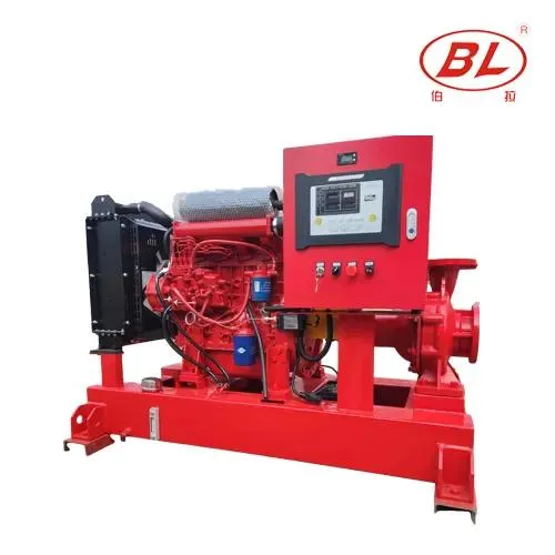 BORRAPUMP diesel fire pump package shown while identifying included equipment records