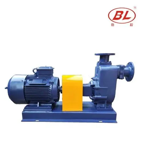 BORRAPUMP self-priming pump shown while reviewing operating records