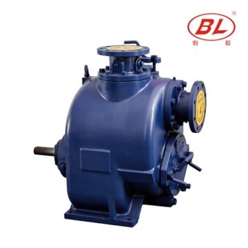 BORRAPUMP self-priming pump shown as an enquiry route, not a recommendation